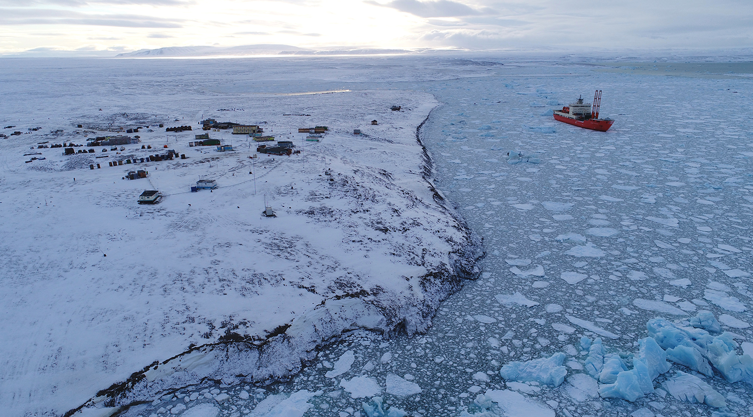 арктическая станция раст фото 72